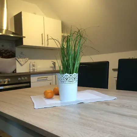 Haus Willi - Kleine & Schnuckelige Ferienwohnung In Ortenberg Mit Wlan Balkon Parkplatz - Neu & Sauber & Gemuetlich Extérieur photo